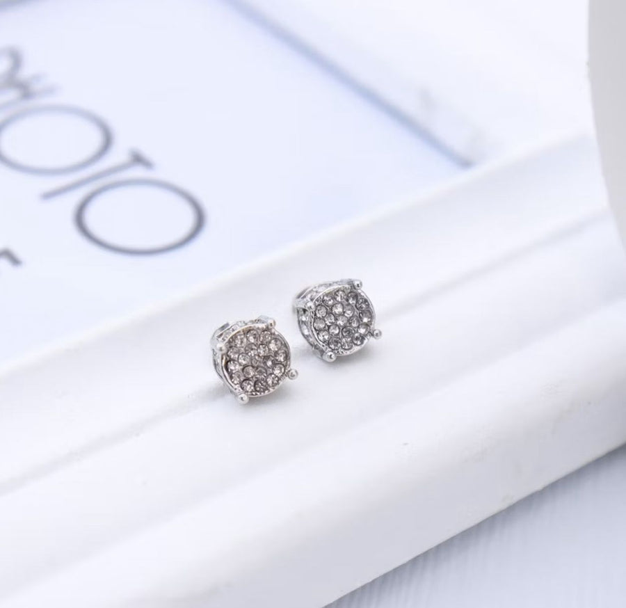 Brincos de Aço Inoxidável Masculino - Titan Lux - Prata